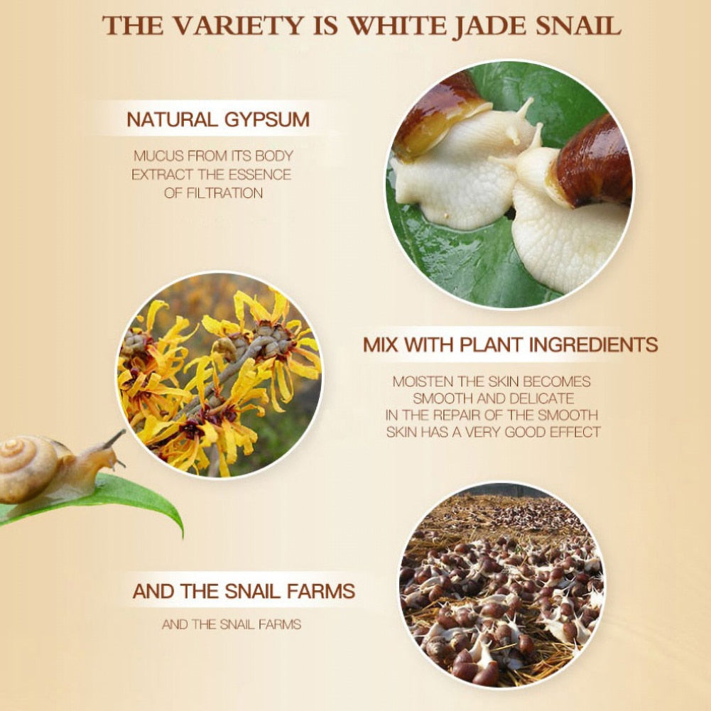 Snail Face Cream Collagen Anti-Wrinkle Whitening Facial Creams Hyaluronic Acid Moisturizing Anti-aging Nourishing Serum 40g